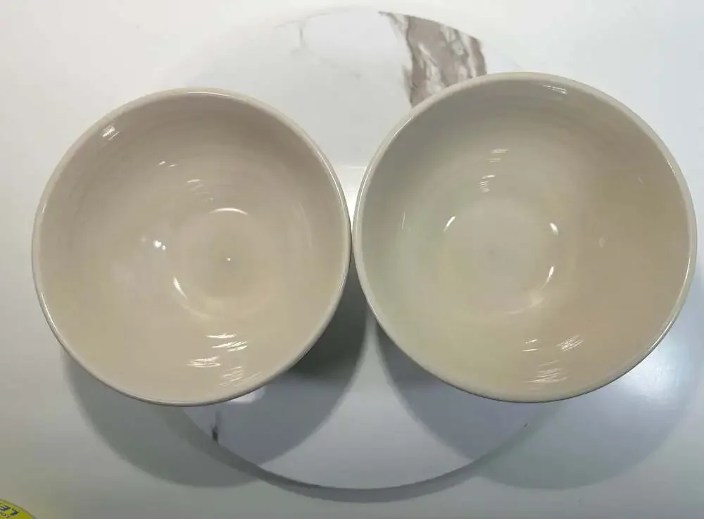 Pier One Imports Blue Hibiscus Flower Stoneware Bowls Set of Two